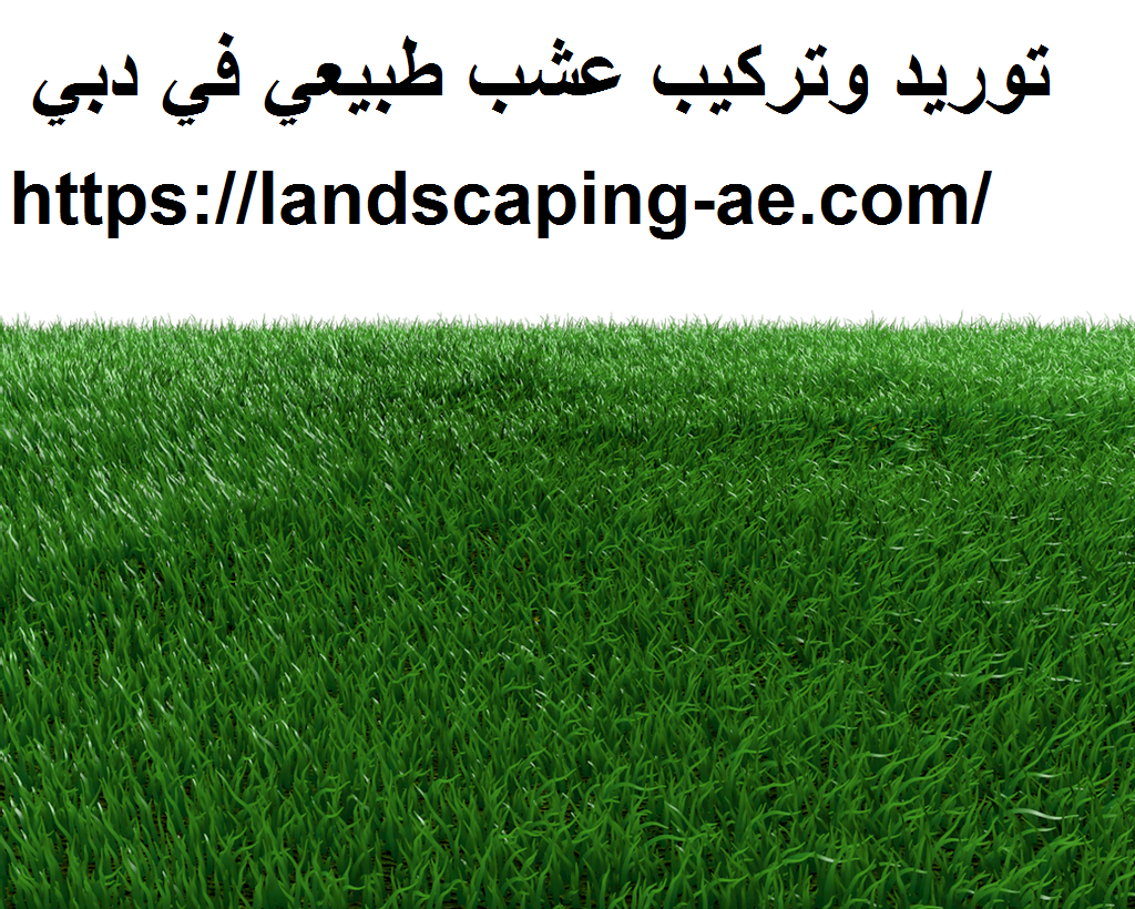 توريد وتركيب عشب طبيعي في دبي